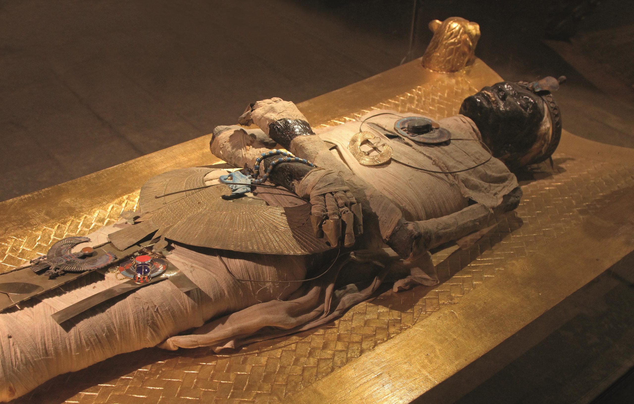 Mummy Database